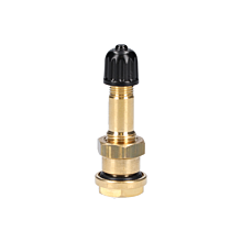 Tubeless Truck Screw-On  Valve V3.20.1 WONDER