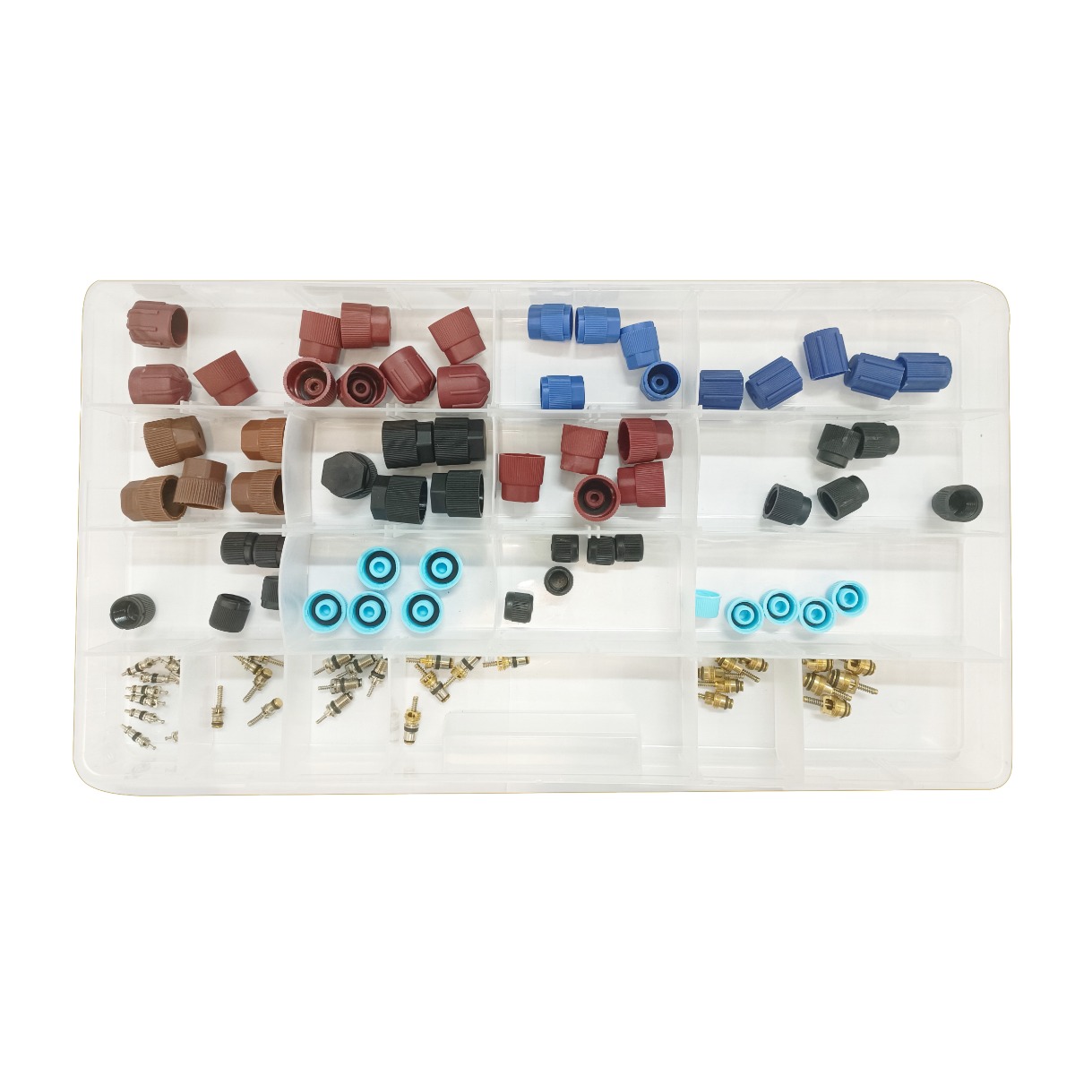 Valves caps kit 95 pcs.